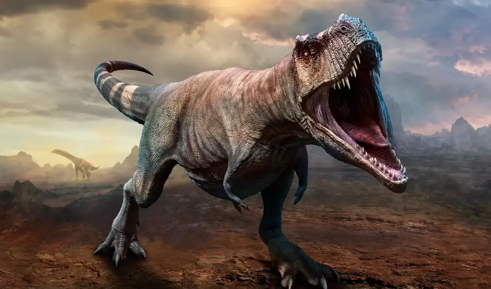 El Tyrannosaurus rex (T-Rex) fue uno de los mayores dinosaurios carnívoros que existieron. Foto: iStock