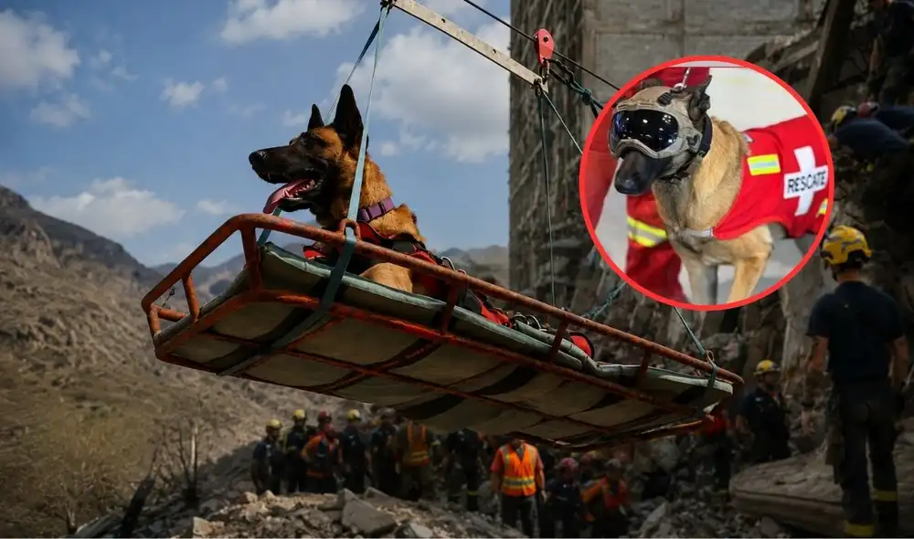 La operación contó con el apoyo de la perrita Kayra, unidad canina entrenada para búsqueda en estructuras colapsadas.