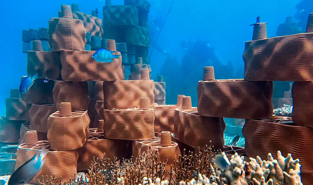 Los corales colonizan el arrecife artificial fabricados por una empresa Suiza. Foto: Rrreefs Los corales colonizan el arrecife artificial fabricados por una empresa Suiza. Foto: Rrreefs