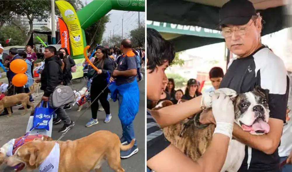 Los asistentes podrán acceder gratuitamente a distintos servicios de salud para sus animales de compañía. Los asistentes podrán acceder gratuitamente a distintos servicios de salud para sus animales de compañía.