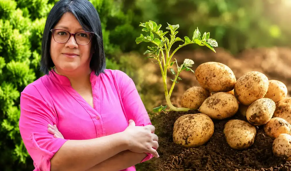 Científica peruana reconocida con premio global por papas biofortificadas Científica peruana reconocida con premio global por papas biofortificadas
