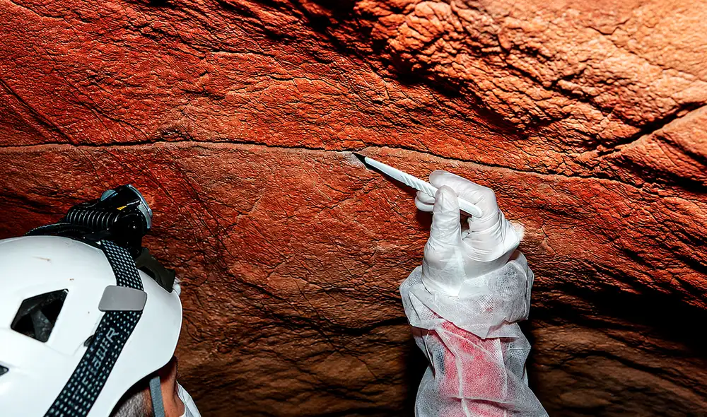 Un equipo internacional de científicos logró recuperar ADN prehistórico directamente de las paredes de cuevas con arte rupestre, revelando datos biológicos de milenios de antigüedad. Un equipo internacional de científicos logró recuperar ADN prehistórico directamente de las paredes de cuevas con arte rupestre, revelando datos biológicos de milenios de antigüedad.