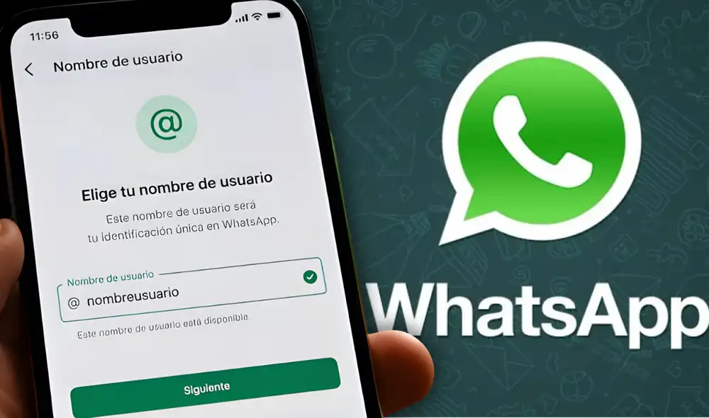 Los nombres de usuario de WhastApp en la plataforma serán identificadores únicos con un límite de hasta 35 caracteres por cuenta. Los nombres de usuario de WhastApp en la plataforma serán identificadores únicos con un límite de hasta 35 caracteres por cuenta.