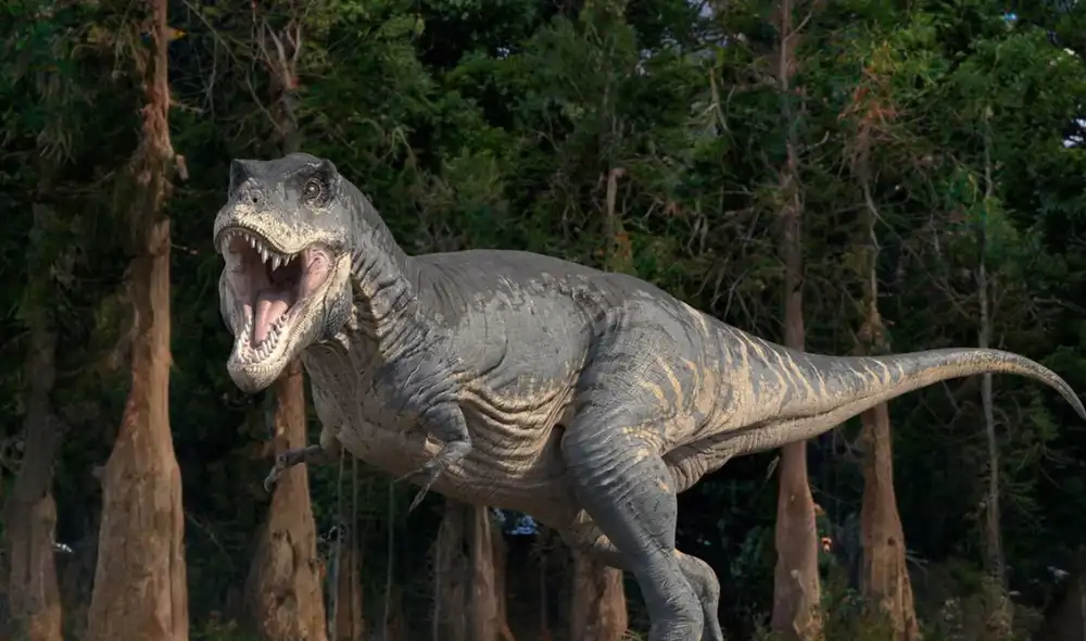 Hasta el final de su existencia, los dinosaurios prosperaron en ecosistemas diversos y florecientes. Foto: Science Photo Library Hasta el final de su existencia, los dinosaurios prosperaron en ecosistemas diversos y florecientes. Foto: Science Photo Library