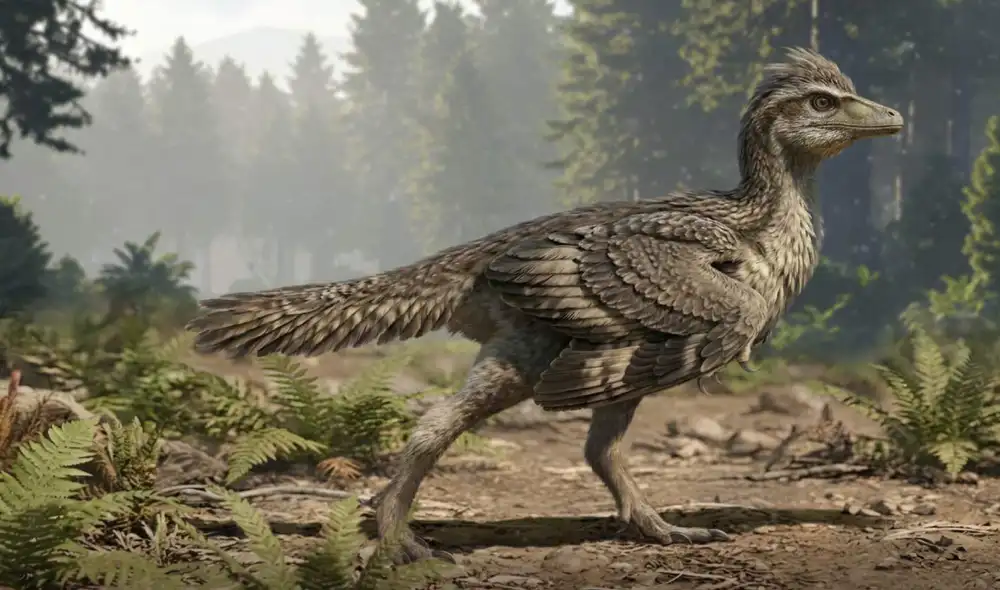 Reconstrucción del Zhengheornis buyu, una pequeña ave jurásica. Foto: Chung-Tat Cheung Reconstrucción del Zhengheornis buyu, una pequeña ave jurásica. Foto: Chung-Tat Cheung
