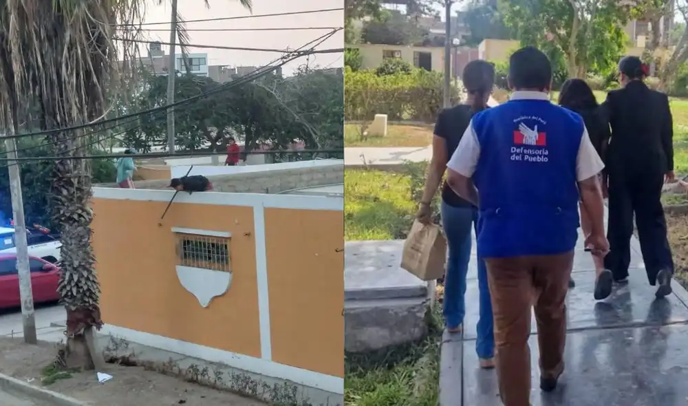 Tres adolescentes de 12, 14 y 16 años están desaparecidas tras escapar del CAR Hogar de la Niña en Trujillo. El Ministerio del Interior ha activado la Alerta Amber para su búsqueda. Tres adolescentes de 12, 14 y 16 años están desaparecidas tras escapar del CAR Hogar de la Niña en Trujillo. El Ministerio del Interior ha activado la Alerta Amber para su búsqueda.