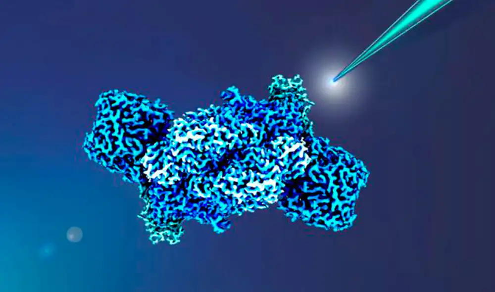 Los científicos han resucitado antiguas enzimas que sustentan la vida. Foto: Instituto Max Planck de Microbiología Terrestre