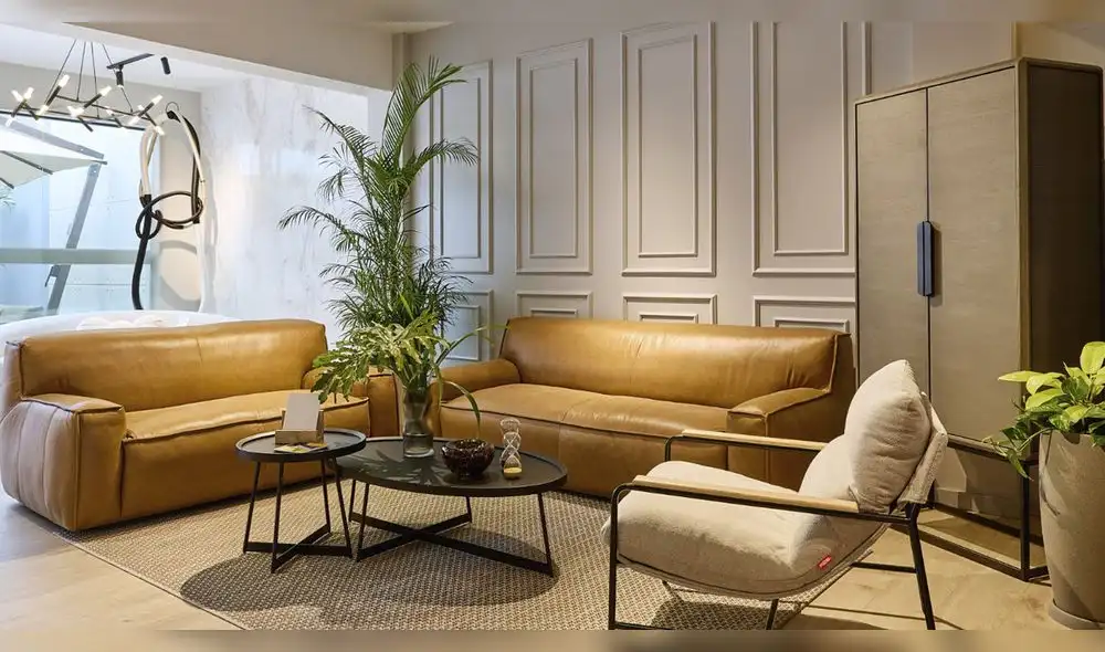 ¿Qué buscan los jóvenes al comprar muebles? ¿Qué buscan los jóvenes al comprar muebles?