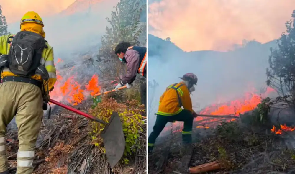 Las autoridades investigan el origen del incendio y las responsabilidades penales. Se recuerda que el Código Penal establece penas de hasta diez años para provocadores de incendios en Perú.