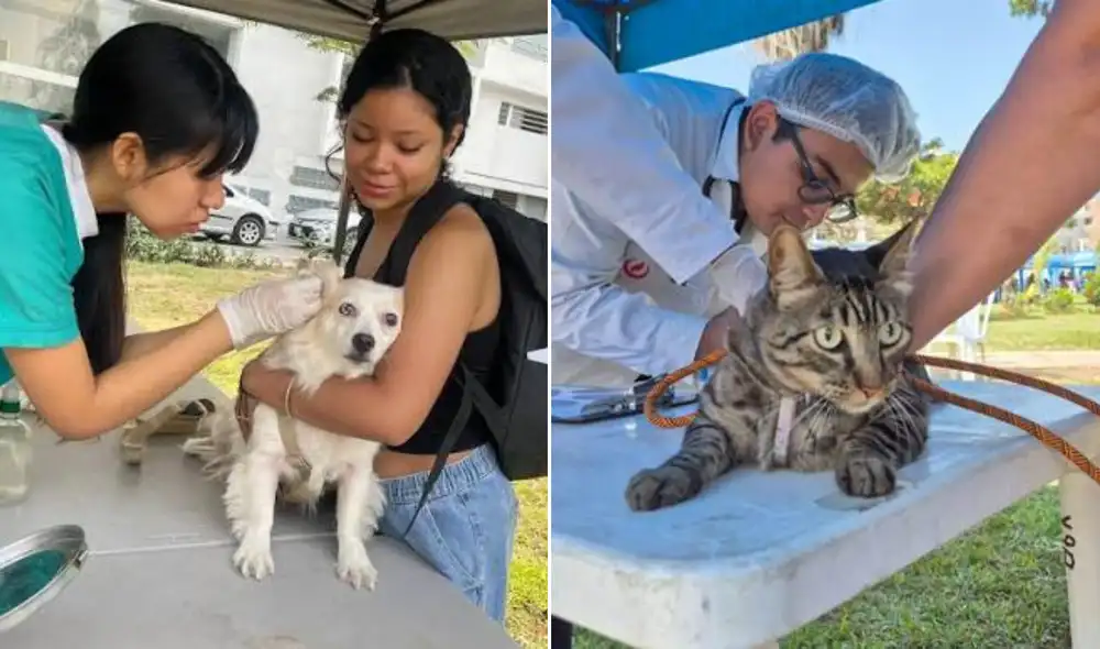 Esta iniciativa busca acercar servicios de salud preventiva a las familias con animales de compañía, promoviendo el cuidado responsable en el Cercado de Lima.