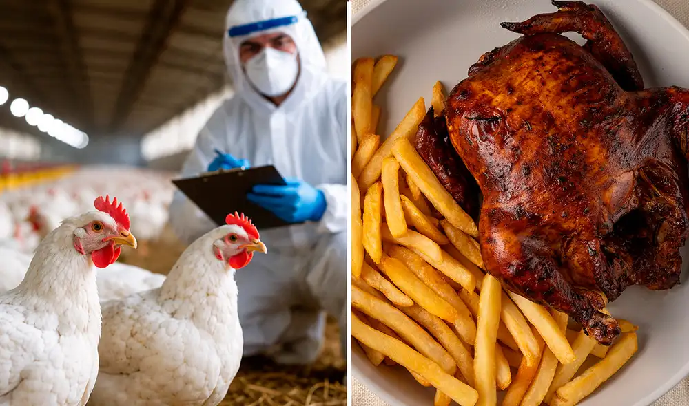 Las aves de corral infectadas con el virus fueron sacrificadas como medida preventiva. Las aves de corral infectadas con el virus fueron sacrificadas como medida preventiva.