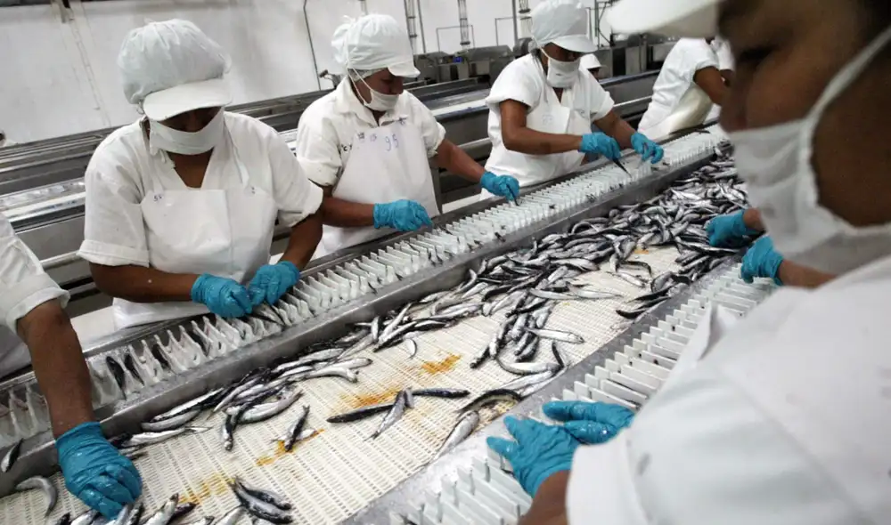 PBI peruano desacelera a 1,8% en mayo tras desplome de la pesca y caída de la manufactura. PBI peruano desacelera a 1,8% en mayo tras desplome de la pesca y caída de la manufactura.