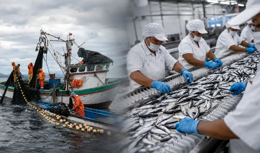 PBI peruano desacelera a 1,8% en mayo tras desplome de la pesca y caída de la manufactura.
