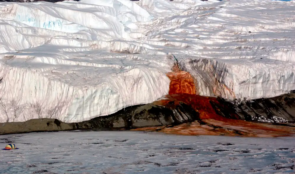 Las Cataratas de Sangre se filtran desde el glaciar Taylor hasta el lago Bonney. Foto: Wikimedia Las Cataratas de Sangre se filtran desde el glaciar Taylor hasta el lago Bonney. Foto: Wikimedia
