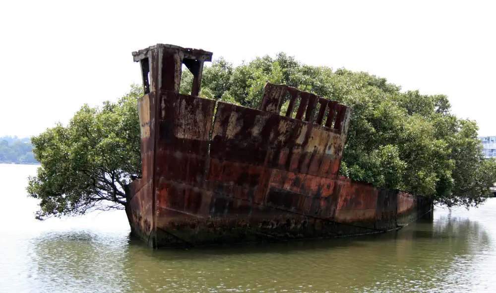 El SS Ayrfield, un atractivo turístico en Homebush Bay, Sidney. Foto: Flickr / Jason Baker El SS Ayrfield, un atractivo turístico en Homebush Bay, Sidney. Foto: Flickr / Jason Baker