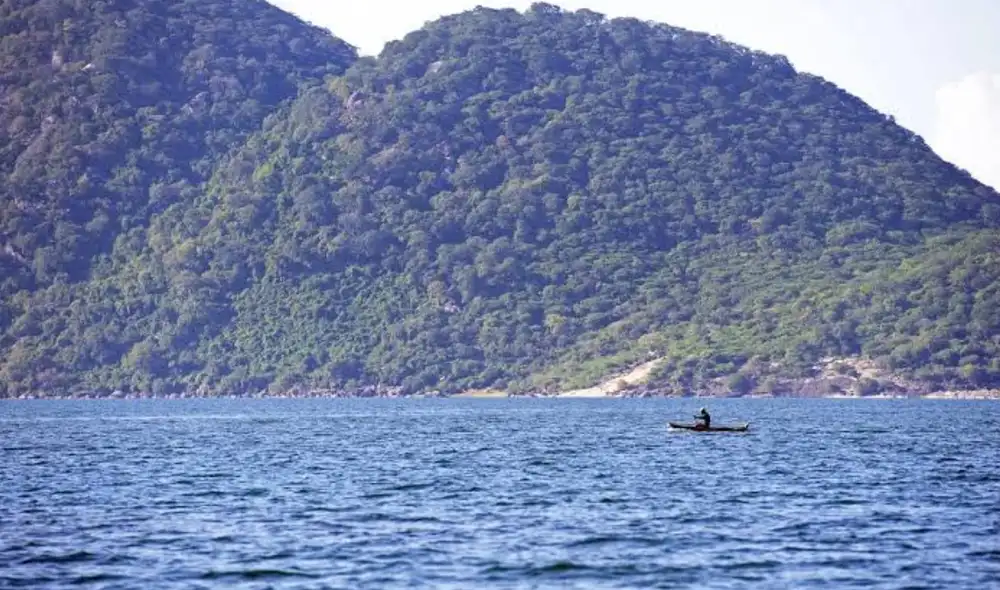 En el lago Malawi los investigadores encontraron una especie que sobrevive en condiciones extremas: Foto: pilesasmiles En el lago Malawi los investigadores encontraron una especie que sobrevive en condiciones extremas: Foto: pilesasmiles