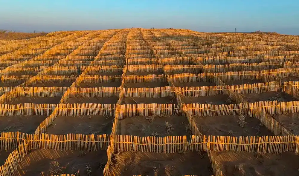 El país asiático lucha contra la desertificación en el árido norte de China. Foto: SCMP