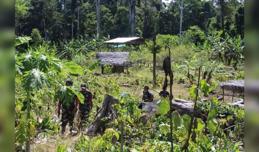Fuerzas combinadas ejecutaron en el Vraem el Operativo Quiñones.
