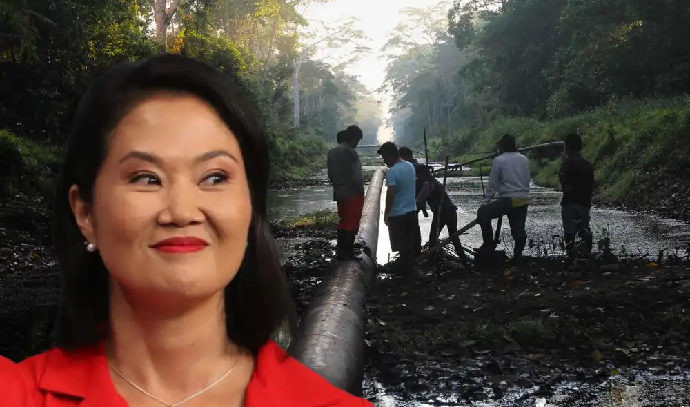 El borrador del pedido de facultades legislativas del Ejecutivo de Keiko Fujimori genera preocupación entre especialistas ambientales por los cambios propuestos en regulaciones. El borrador del pedido de facultades legislativas del Ejecutivo de Keiko Fujimori genera preocupación entre especialistas ambientales por los cambios propuestos en regulaciones.