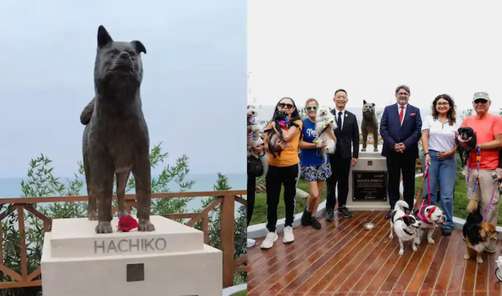 Este parque busca fortalecer el hermanamiento entre Miraflores y la ciudad japonesa de Shibuya, promoviendo el intercambio cultural y turístico mediante elementos representativos de ambos destinos.