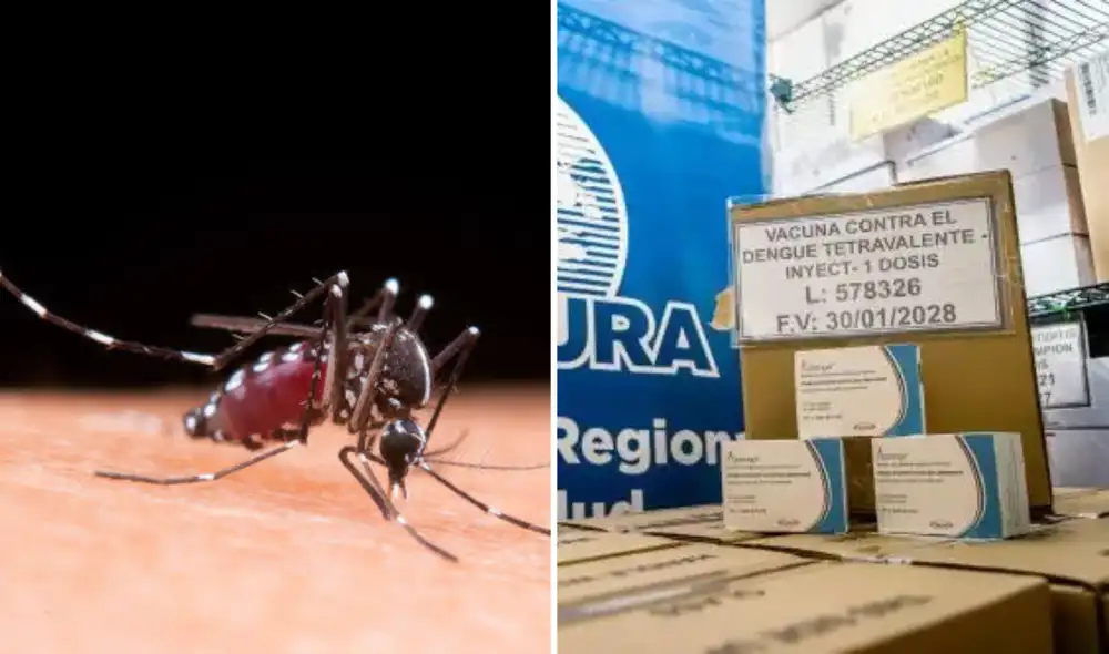 Además de la vacunación, el Minsa recomienda eliminar criaderos del mosquito Aedes aegypti y usar repelente para prevenir el dengue en la población.
