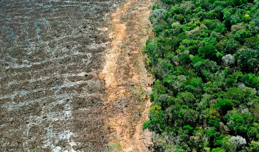 Brasil perdió 110 millones de hectáreas de áreas naturales, lo que representa el 13 % de su territorio nacional. Foto: AFP. Brasil perdió 110 millones de hectáreas de áreas naturales, lo que representa el 13 % de su territorio nacional. Foto: AFP.