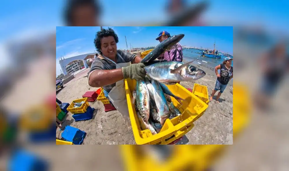 Urge blindar la biodiversidad y la pesca. Urge blindar la biodiversidad y la pesca.