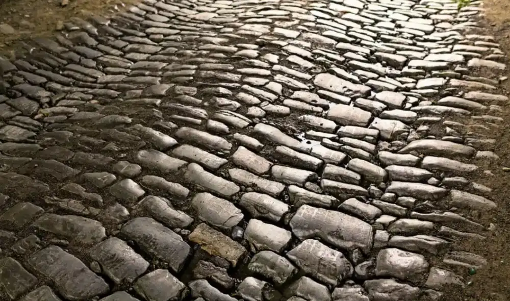 Una excavación previa a la ampliación de la A8 en Alemania descubrió una ruta romana. Foto: Shutterstock Una excavación previa a la ampliación de la A8 en Alemania descubrió una ruta romana. Foto: Shutterstock
