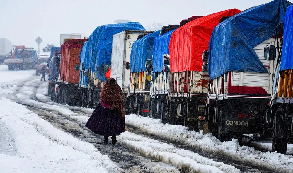 Las nevadas han causado daños significativos, como la muerte de animales y el cierre de vías en Bolivia Las nevadas han causado daños significativos, como la muerte de animales y el cierre de vías en Bolivia