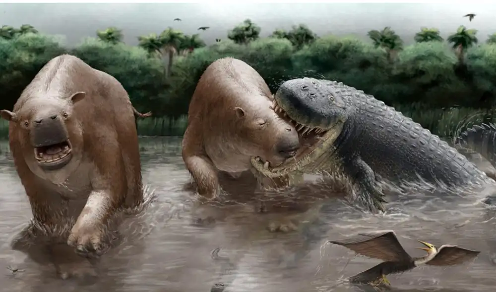 Reconstrucción de Purussarus neivensis atacando a Pericotoxodon platignathus. Foto: Miguel Hernández Reconstrucción de Purussarus neivensis atacando a Pericotoxodon platignathus. Foto: Miguel Hernández