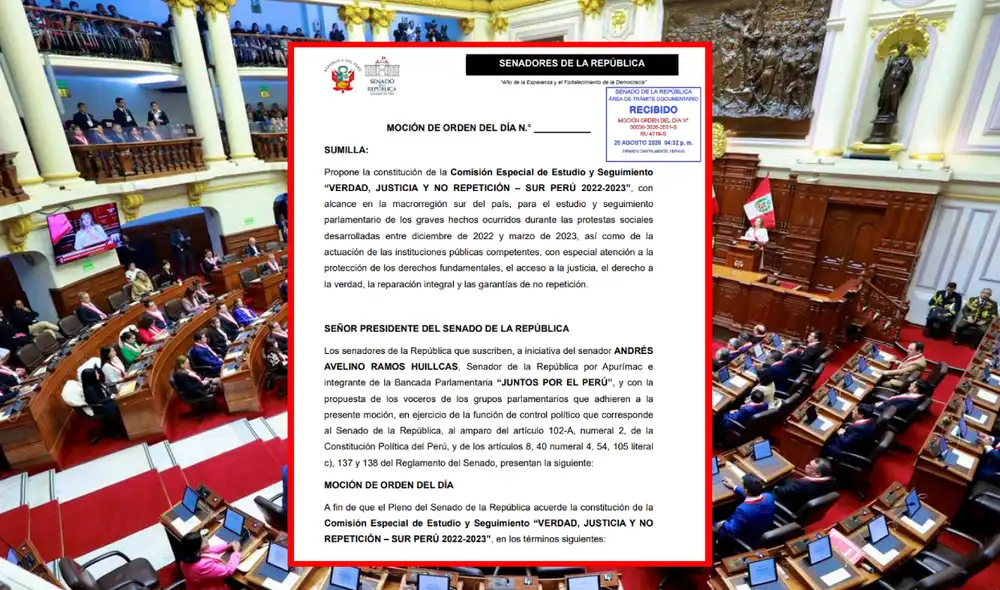 El documento señala que los hechos más graves se concentraron en Apurímac, Ayacucho, Puno, Cusco, Arequipa, Moquegua y Tacna durante las movilizaciones contra el Gobierno y el Congreso.