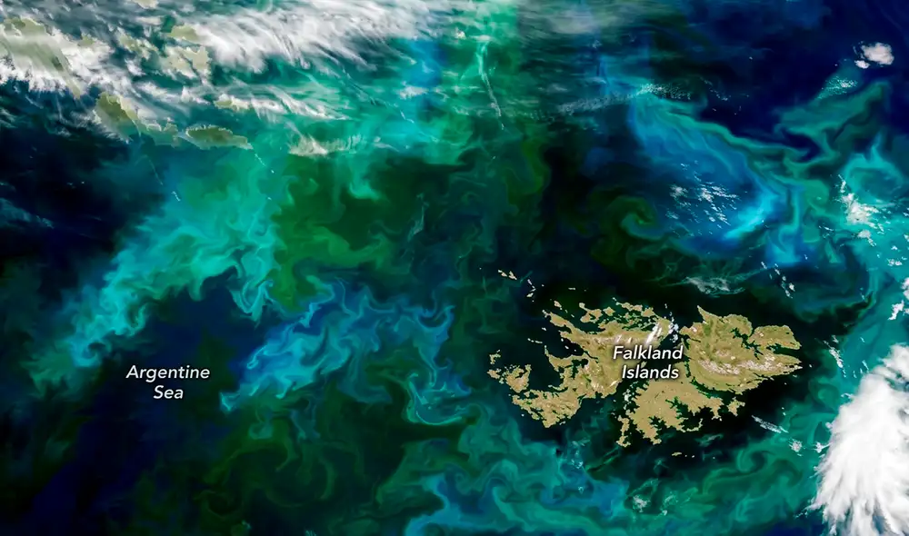 El Observatorio de la Tierra de la NASA ha registrado un fenómeno natural en el Atlántico Sur, cerca de las Islas Malvinas, con remolinos visibles desde el espacio. Captados el 28 de diciembre de 2024, presentan franjas verdes y azules. El Observatorio de la Tierra de la NASA ha registrado un fenómeno natural en el Atlántico Sur, cerca de las Islas Malvinas, con remolinos visibles desde el espacio. Captados el 28 de diciembre de 2024, presentan franjas verdes y azules.