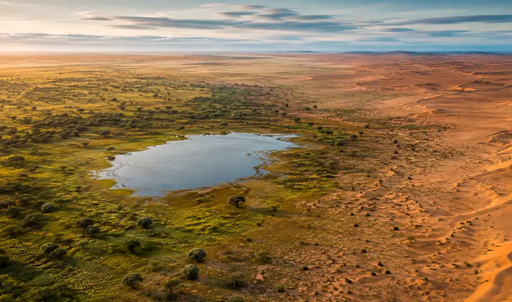 Los estudios en Nature también demuestran que el Sáhara pasa por fases verdes de forma cíclica cada 21,000 años, impulsado por el "bamboleo" u orientación del eje de la Tierra. Los estudios en Nature también demuestran que el Sáhara pasa por fases verdes de forma cíclica cada 21,000 años, impulsado por el "bamboleo" u orientación del eje de la Tierra.