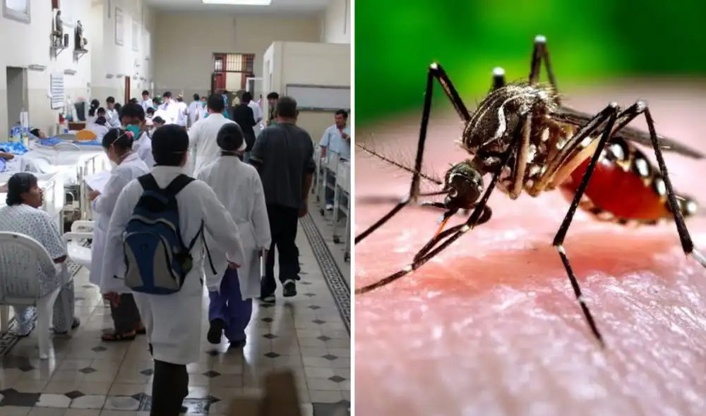 El dengue registra un aumento de casos en distintas regiones del Perú ante las condiciones climáticas asociadas al fenómeno de El Niño.