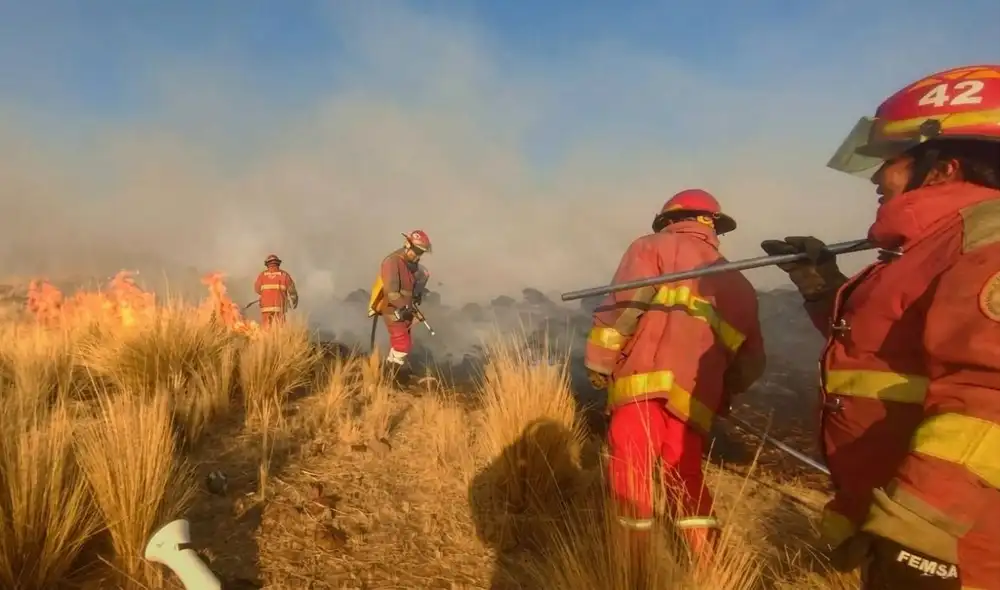 Alerta por incendio forestal en Puno