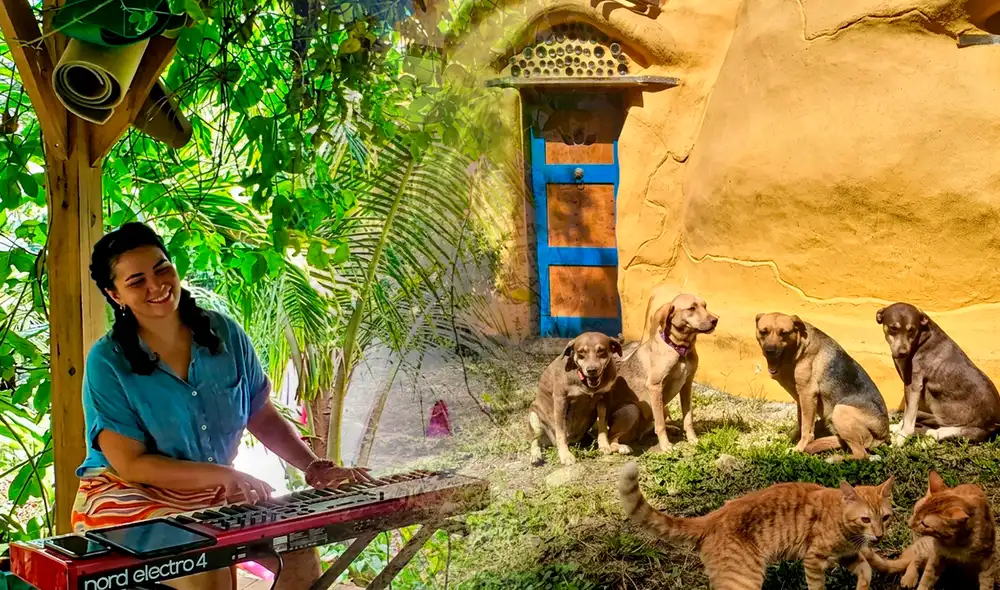 Los voluntarios trabajarían 20 horas semanales en agroecología a cambio de alojamiento y las tres comidas del día en la finca de Puerto Rico.