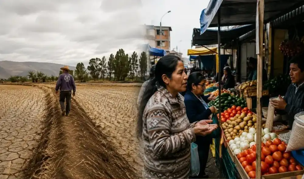 El riesgo detrás de El Niño: alimentos más caros y familias con menor capacidad para comprar. El riesgo detrás de El Niño: alimentos más caros y familias con menor capacidad para comprar.