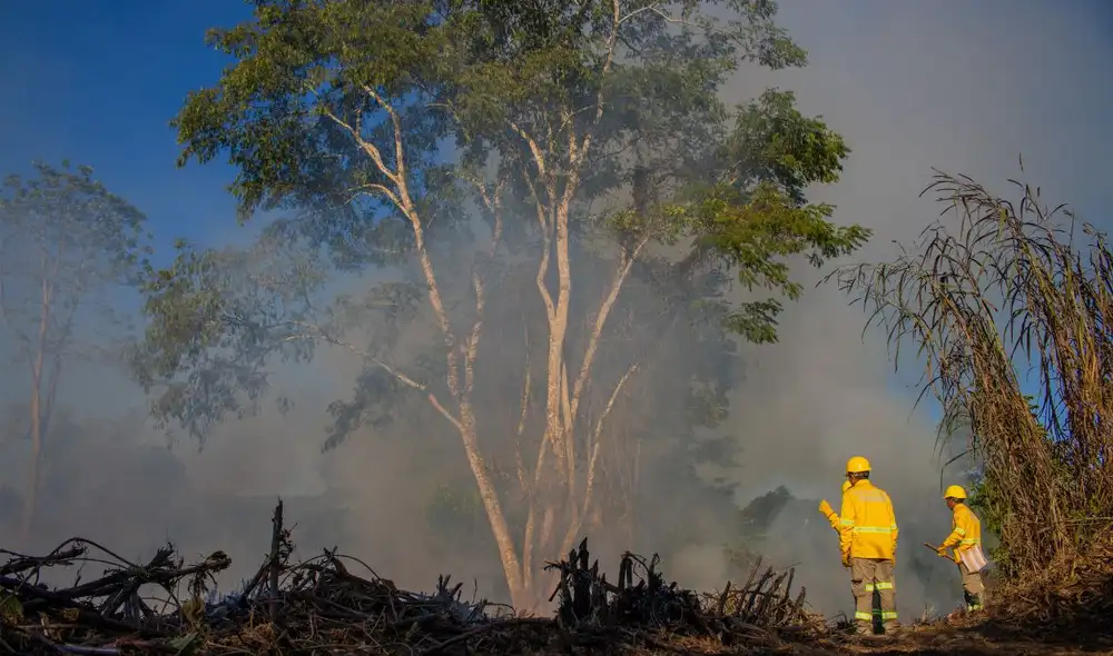 La Central Asháninka del Río Ene (CARE) se une al FireSat Early Adopter Program, que implementará tecnología satelital para prevenir y monitorear incendios forestales en comunidades nativas.