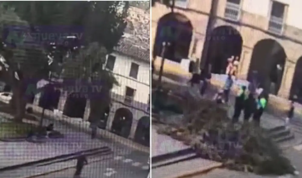 Turista se salva milagrosamente de ser aplastada por rama de árbol en Cusco Turista se salva milagrosamente de ser aplastada por rama de árbol en Cusco