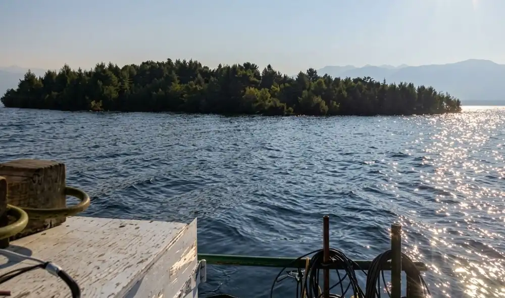 Un insólito descubrimiento en el embalse de Williston, Canadá: una isla flotante cubierta de vegetación fue grabada por navegantes a principios de agosto y se hizo viral.