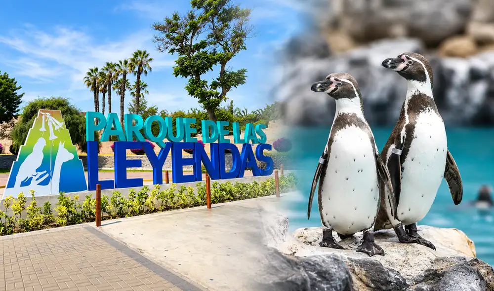 Parque de las Leyendas ofrecerá descuentos en sus entradas Parque de las Leyendas ofrecerá descuentos en sus entradas