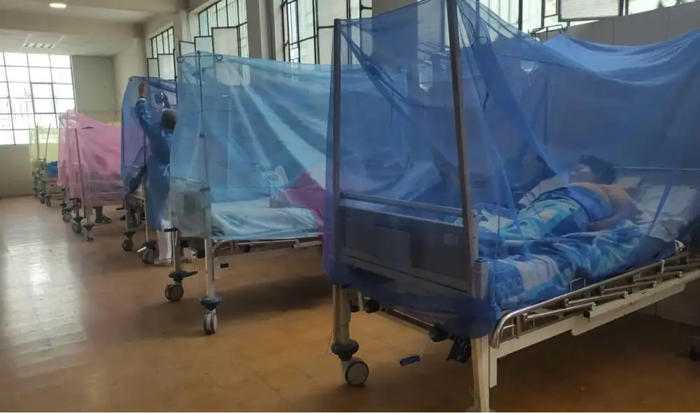 Una madre de 35 años y su hijo de 20 años han fallecido en Lambayeque por dengue, elevando a 11 las muertes por esta enfermedad en lo que va del 2026, según informes oficiales.