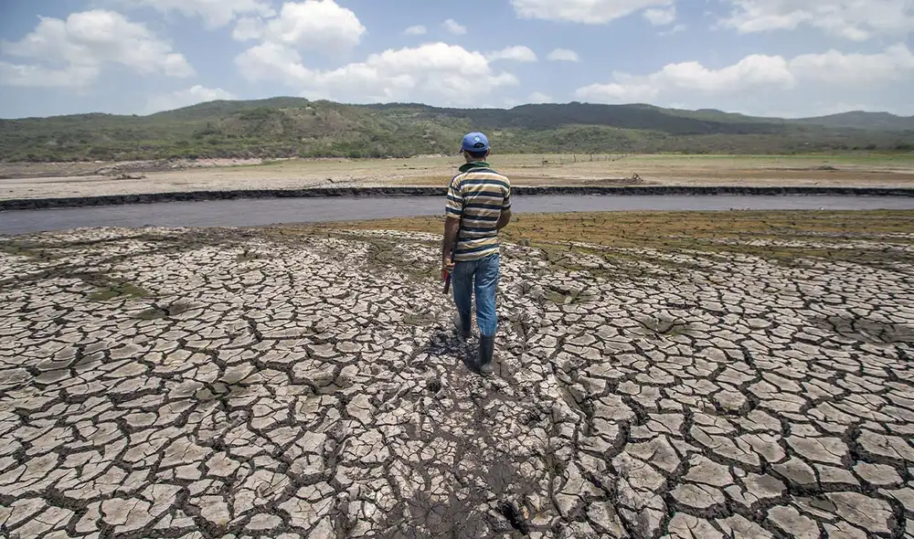 El fenómeno climático amenaza con afectar alimentos, agricultura, ganadería y suministro de agua en varios países de América Latina El fenómeno climático amenaza con afectar alimentos, agricultura, ganadería y suministro de agua en varios países de América Latina