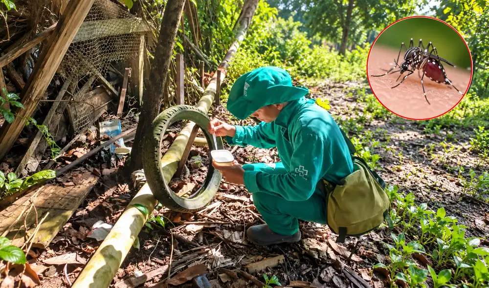 El Niño eleva riesgo de dengue en Amazonas: Diresa alerta sobre aumento de casos El Niño eleva riesgo de dengue en Amazonas: Diresa alerta sobre aumento de casos