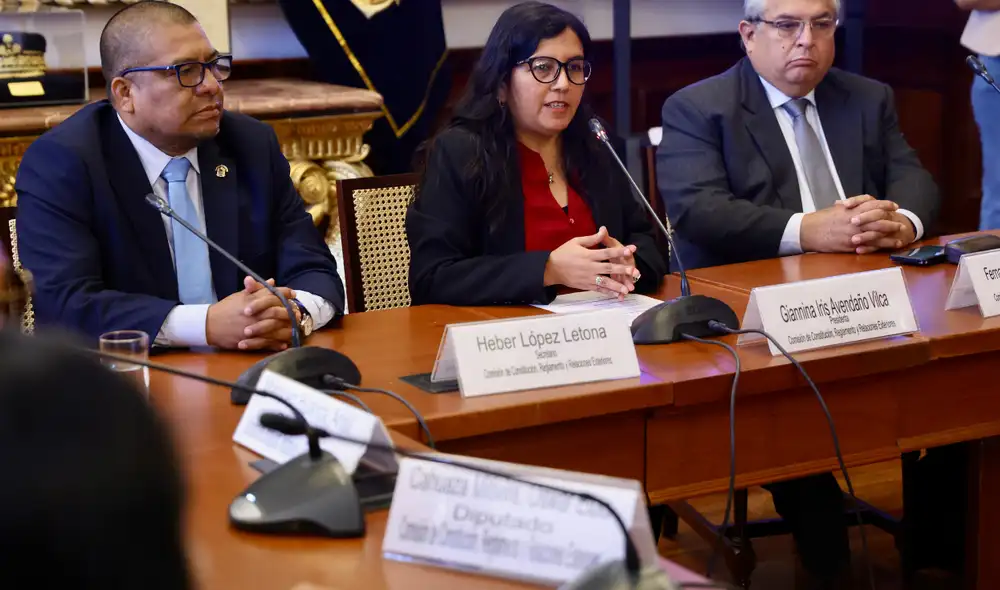 El Congreso deberá definir hasta dónde llega la delegación solicitada y qué materias pueden ser modificadas directamente por el Ejecutivo.