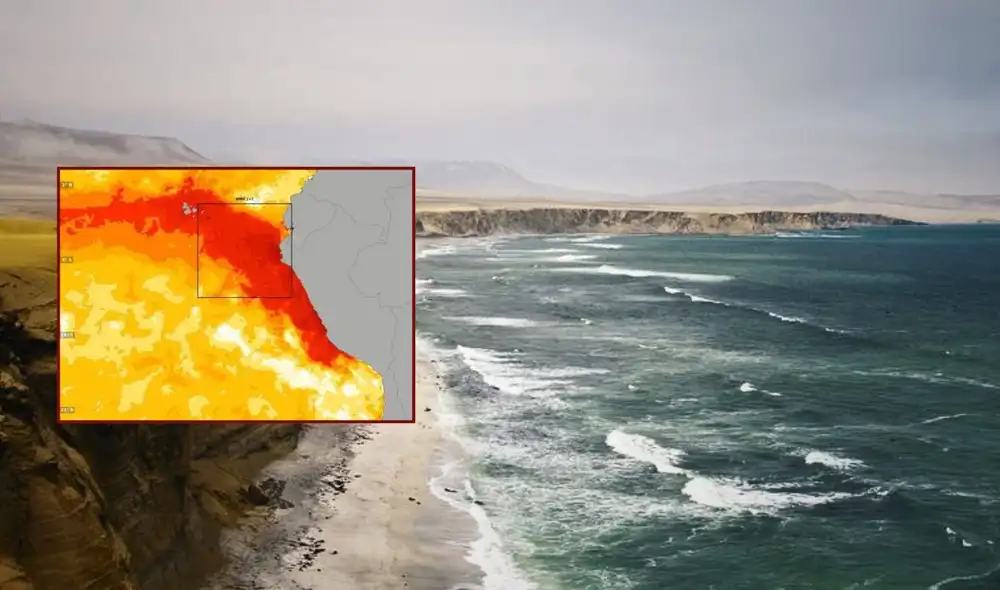 El mar frente a la costa peruana sigue con temperaturas superiores a lo habitual, y el calentamiento podría extenderse meses. Cuatro ondas Kelvin llegarán al litoral entre septiembre y noviembre.