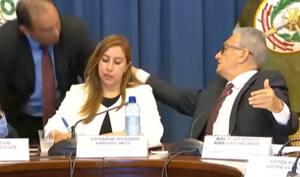 Incidente ocurrió durante la sesión de la Comisión de Justicia y Derechos Humanos del Senado. Foto: captura de pantalla