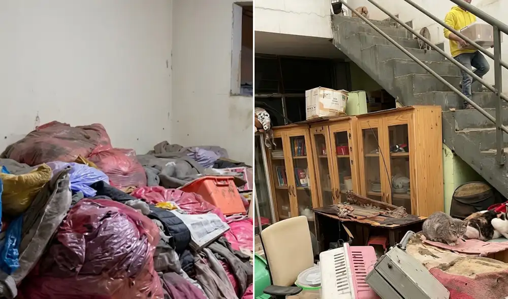Se solicita hogares temporales y apoyo para rescatar a estas mascotas, ya que refugios no tienen capacidad. Se solicita hogares temporales y apoyo para rescatar a estas mascotas, ya que refugios no tienen capacidad.