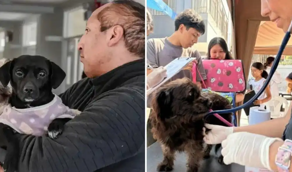 La campaña ofrecerá consultas médico-veterinarias, desparasitación de mascotas y charlas sobre tenencia responsable en el Parque Santa Rosa, de 9:00 a.m. a 12:00 m.
