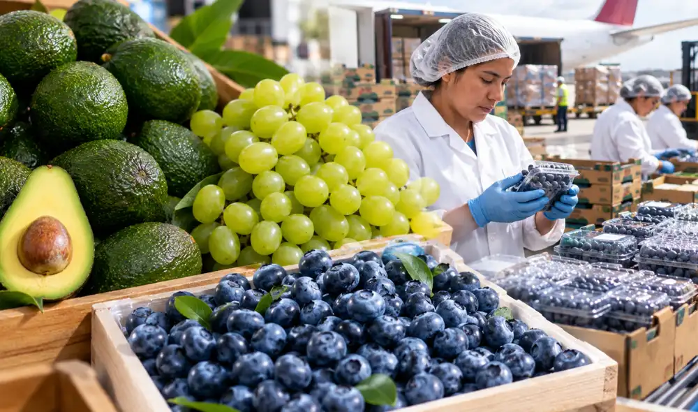 Estados Unidos y Países Bajos se mantienen como los principales compradores de productos agrarios peruanos. Estados Unidos y Países Bajos se mantienen como los principales compradores de productos agrarios peruanos.